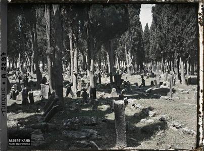 Turquie d'Asie, Scutari, Dans le Cimetière. Tombes et colonnes funéraires dans le cimetière de Karacaahmet ou Büyük Mezaristan (Grand cimetière) au milieu d'un bois de cyprès